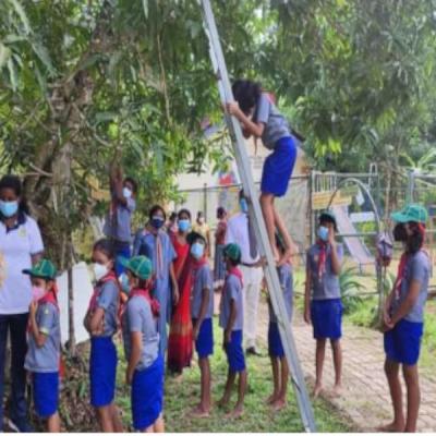 බාලදක්ෂ කටයුතු